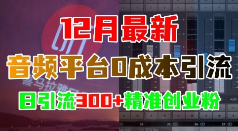 12月最新：音频平台0成本引流，日引流300+精准创业粉-电脑资源自留地