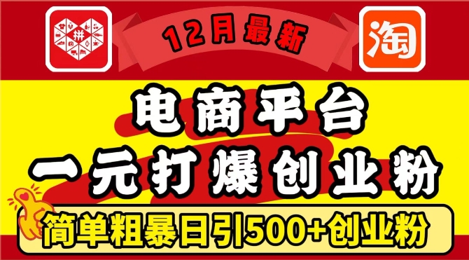 12月最新：电商平台1元打爆创业粉，简单粗暴日引500+精准创业粉，轻松月入过W【揭秘】-电脑资源自留地