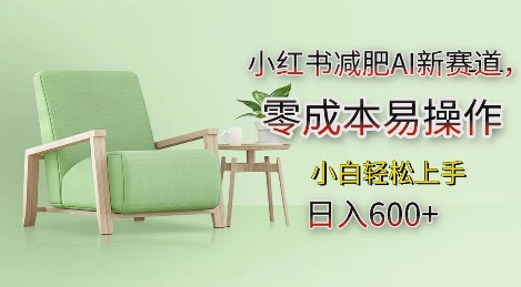 小红书减肥AI新赛道，零成本易操作，日入多张，小白轻松上手【揭秘】-电脑资源自留地
