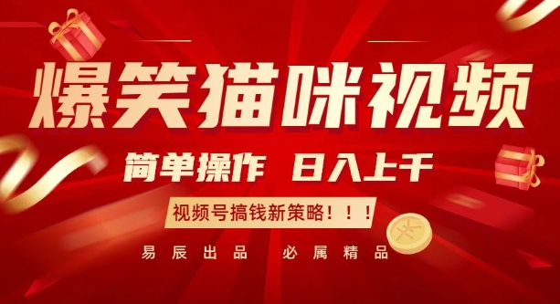 爆笑猫咪视频：简单操作，日入过K，视频号搞钱新策略【揭秘】-电脑资源自留地