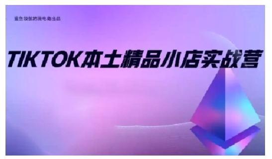 TikTok本土精品小店出海实战营，从入门到高阶，不止0-1!-电脑资源自留地
