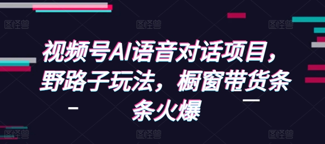 视频号AI语音对话项目，野路子玩法，橱窗带货条条火爆-电脑资源自留地