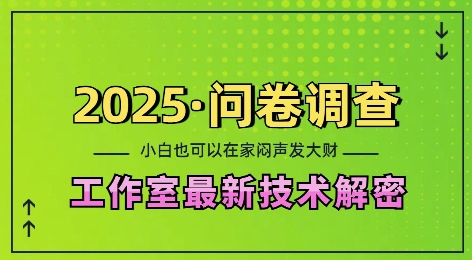 2025问卷调查最新工作室技术解密：一个人在家也可以闷声发大财，小白一天2张，可矩阵放大【揭秘】-电脑资源自留地
