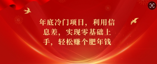 年底冷门项目，利用信息差，实现零基础上手，轻松赚个肥年钱【揭秘】-电脑资源自留地