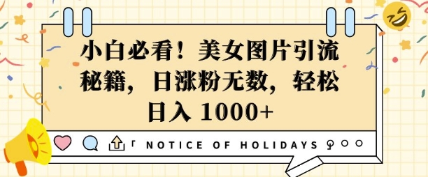 小白必看，美女图片引流秘籍，日涨粉无数，轻松日入几张【揭秘】-电脑资源自留地