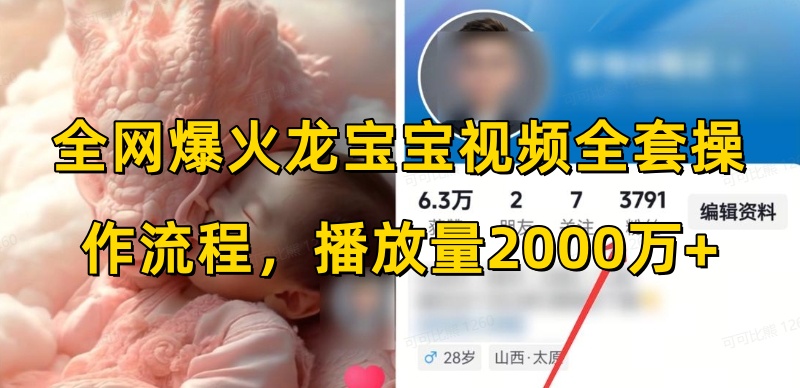全网爆火龙宝宝视频全套操作流程，播放量2000万+-电脑资源自留地