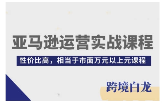 亚马逊运营实战课程，亚马逊从入门到精通，性价比高，相当于市面万元以上元课程-电脑资源自留地