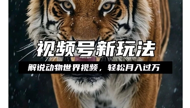 利用动物世界解说视频，赚分成计划收益，轻松月入过W，操作简单【揭秘】-电脑资源自留地
