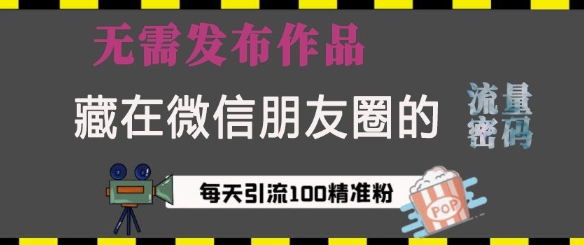 藏在微信朋友圈的流量密码，无需发布作品，单日引流100+精准创业粉【揭秘】-电脑资源自留地