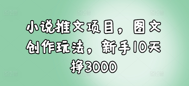 小说推文项目，图文创作玩法，新手10天挣3000-电脑资源自留地