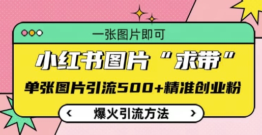 小红书图片‘求带’爆火引流法，单张图片引流500+精准创业粉【揭秘】-电脑资源自留地