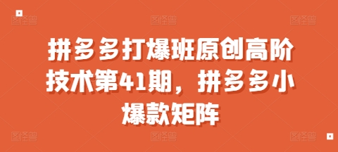 拼多多打爆班原创高阶技术第41期，拼多多小爆款矩阵-电脑资源自留地