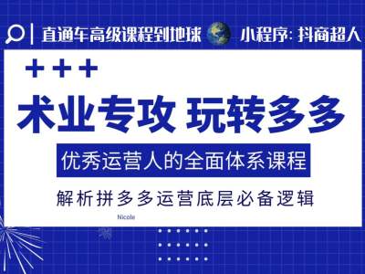 术业专攻玩转多多，优秀运营人的全面体系课程，解析拼多多运营底层必备逻辑-电脑资源自留地