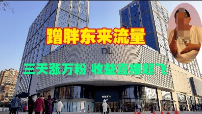 蹭胖东来流量，三天涨万粉，收益直接起飞-电脑资源自留地