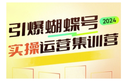 引爆蝴蝶号实操运营，助力你深度掌握蝴蝶号运营，实现高效实操，开启流量变现之路-电脑资源自留地