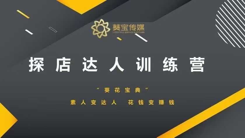 探店达人训练营，素人变达人，花钱变赚钱-电脑资源自留地