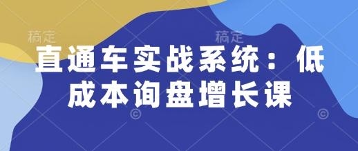 直通车实战系统：低成本询盘增长课，让个人通过技能实现升职加薪，让企业低成本获客，订单源源不断-电脑资源自留地