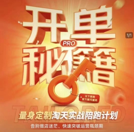 淘宝开单秘籍PRO，量身定制淘天实战陪跑计划，告别做店迷茫、快速突破运营瓶颈期-电脑资源自留地