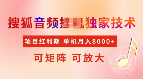 全网首发搜狐音频挂JI独家技术，项目红利期，可矩阵可放大，稳定月入8k【揭秘】-电脑资源自留地