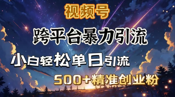 跨平台暴力引流，私域完美闭环，日引500+精准创业粉-电脑资源自留地