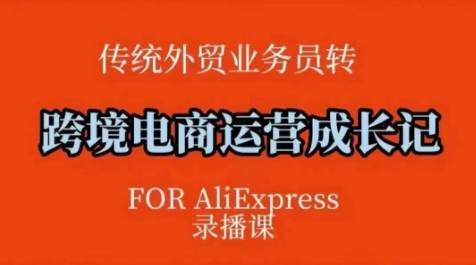 跨境电商速卖通运营课，​运营方法论+后台实操，逻辑清晰-电脑资源自留地