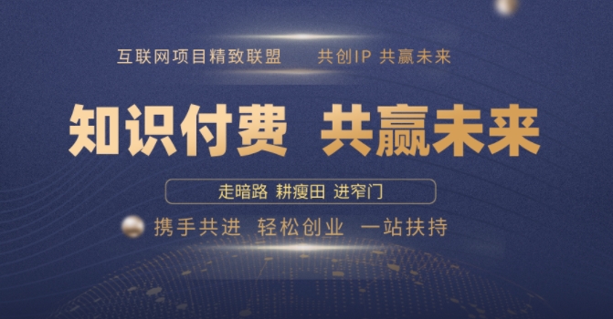 别人苦寻无果，为何他们靠知识付费卖项目 2025 年轻松年入100个?【揭秘】-电脑资源自留地