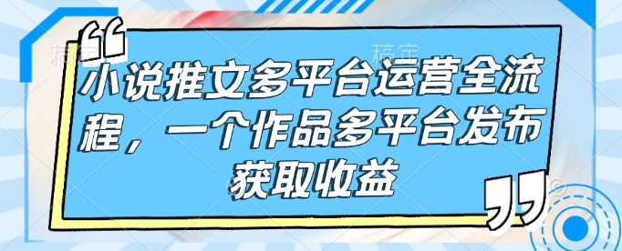 小说推文多平台运营全流程，一个作品多平台发布获取收益-电脑资源自留地