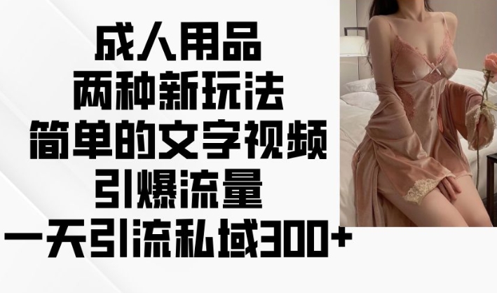 成人用品两种新玩法，简单的文字视频引爆流量，一天引流私域300+-电脑资源自留地