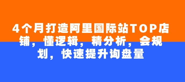 4个月打造阿里国际站TOP店铺，懂逻辑，精分析，会规划，快速提升询盘量-电脑资源自留地