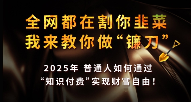 全网都在割你韭菜，我来教你做镰刀，2025年普通人如何通过 知识付费 实现财F自由【揭秘】-电脑资源自留地