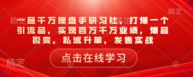 一品千万操盘手研习社，打爆一个引流品，实现百万千万业绩，爆品裂变，私域升单，发售实战-电脑资源自留地