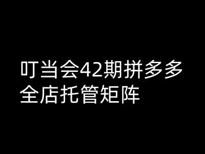 叮当会拼多多打爆班原创高阶技术第42期，拼多多全店托管矩阵-电脑资源自留地