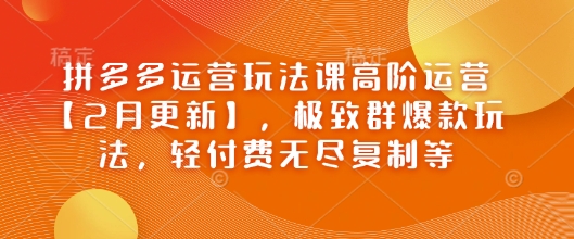 拼多多运营玩法课高阶运营【2月更新】，极致群爆款玩法，轻付费无尽复制等-电脑资源自留地