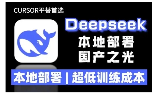 2025年deepseek R1 大型模型本地安装部署(文件+教程)本地部署，超低训练成本-电脑资源自留地
