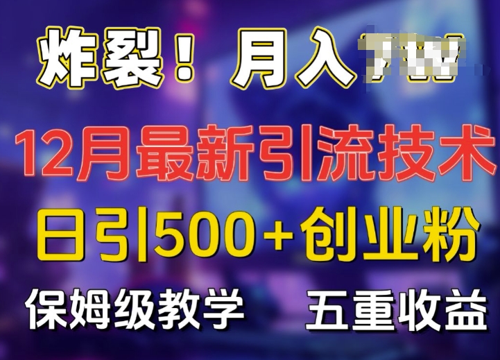 炸裂!揭秘12月最新日引流500+精准创业粉，多重收益保姆级教学-电脑资源自留地