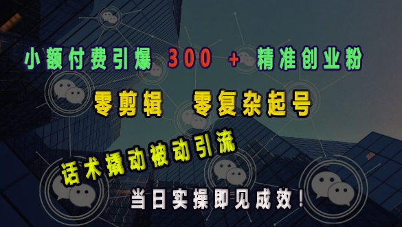 小额付费引爆 300 + 精准创业粉，零剪辑、零复杂起号，话术撬动被动引流，当日实操即见成效-电脑资源自留地
