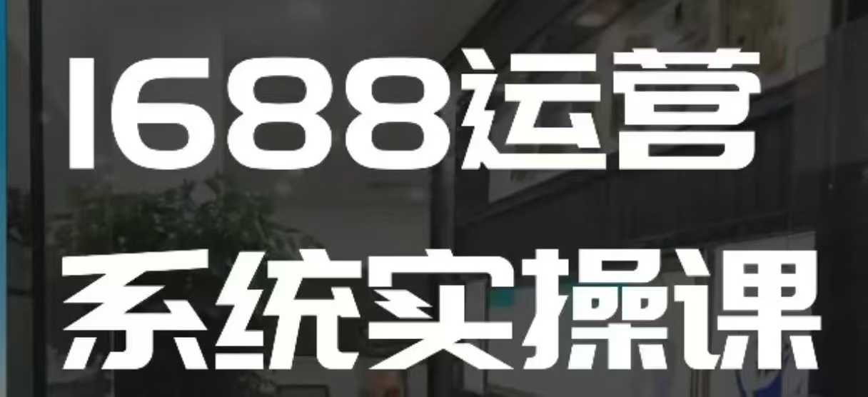 1688高阶运营系统实操课，快速掌握1688店铺运营的核心玩法-电脑资源自留地