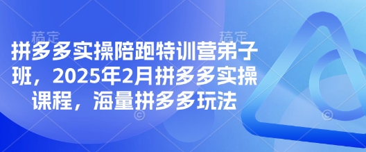 拼多多实操陪跑特训营弟子班，2025年2月拼多多实操课程，海量拼多多玩法-电脑资源自留地