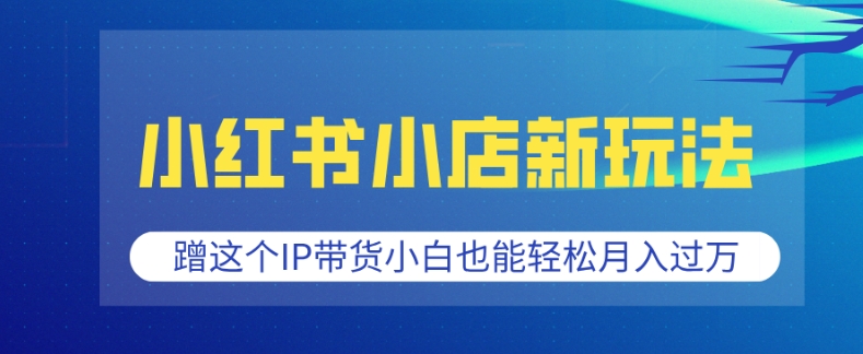 小红书小店新玩法，蹭这个IP带货，小白也能轻松月入过W【揭秘】-电脑资源自留地