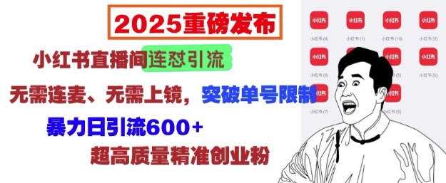 2025重磅发布：小红书直播间连怼引流，无需连麦、无需上镜，突破单号限制，暴力日引流600+-电脑资源自留地