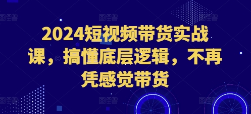 2024短视频带货实战课，搞懂底层逻辑，不再凭感觉带货-电脑资源自留地