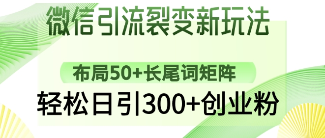 微信引流裂变新玩法：布局50+长尾词矩阵，轻松日引300+创业粉-电脑资源自留地