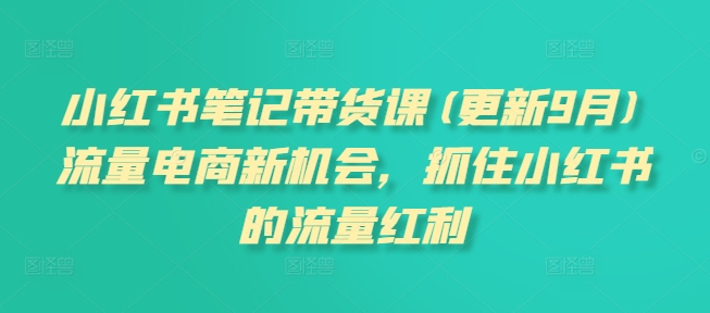 小红书笔记带货课(更新25年3月)流量电商新机会，抓住小红书的流量红利-电脑资源自留地