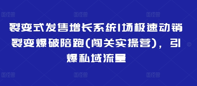 裂变式发售增长系统1场极速动销裂变爆破陪跑(闯关实操营)，引爆私域流量-电脑资源自留地