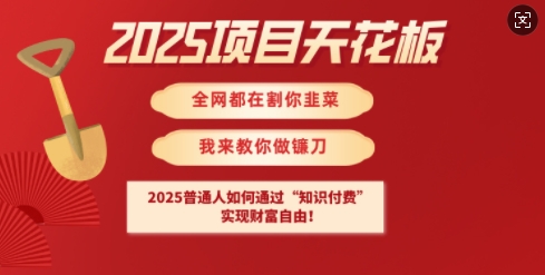 2025项目天花板普通人如何通过知识付费，实现财F自由【揭秘】-电脑资源自留地