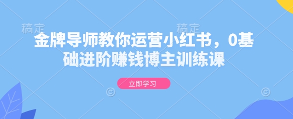 金牌导师教你运营小红书，0基础进阶赚钱博主训练课-电脑资源自留地