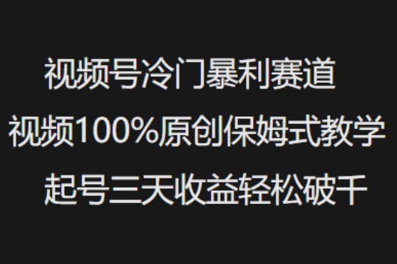 视频号冷门暴利赛道视频100%原创保姆式教学起号三天收益轻松破千-电脑资源自留地