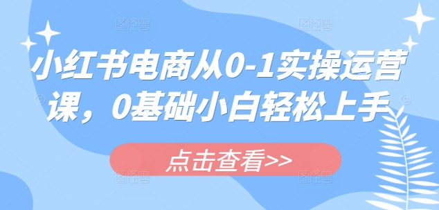 小红书电商从0-1实操运营课，0基础小白轻松上手-电脑资源自留地