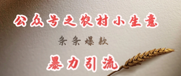 deepseek写农村小项目，条条爆款，暴力引流-电脑资源自留地