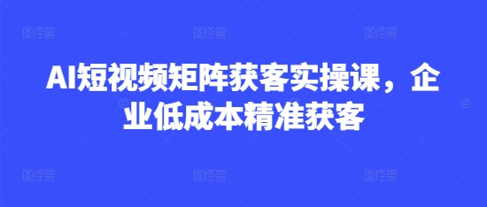 AI短视频矩阵获客实操课，企业低成本精准获客-电脑资源自留地